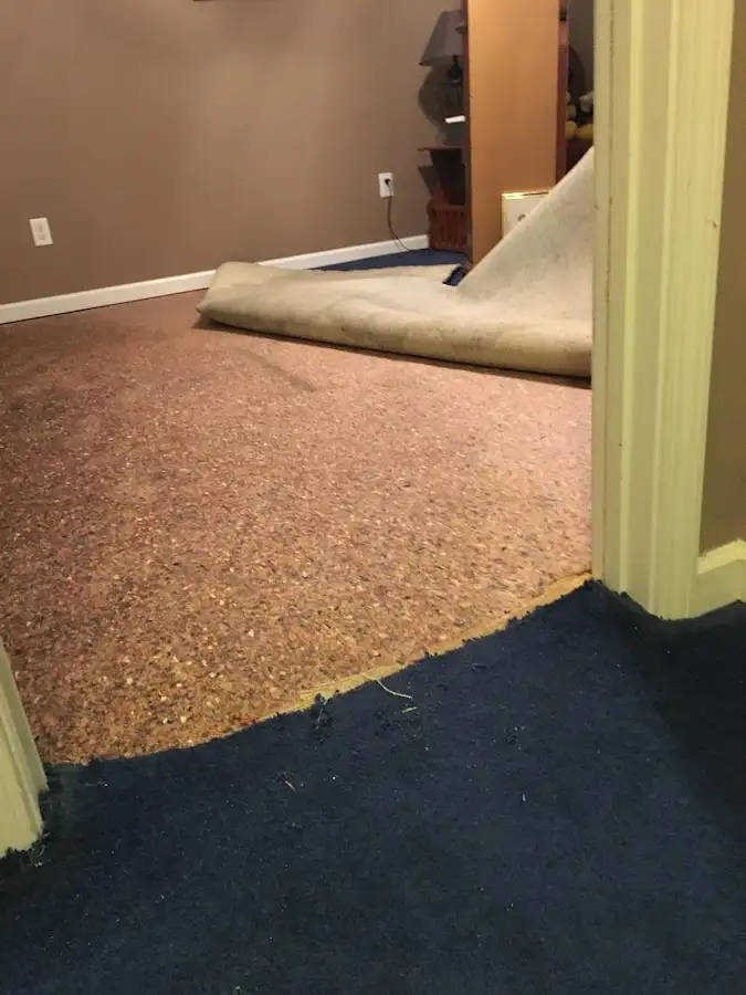 Carpet pad removal revealing water damage during Water Mitigation Services in Glen Carbon