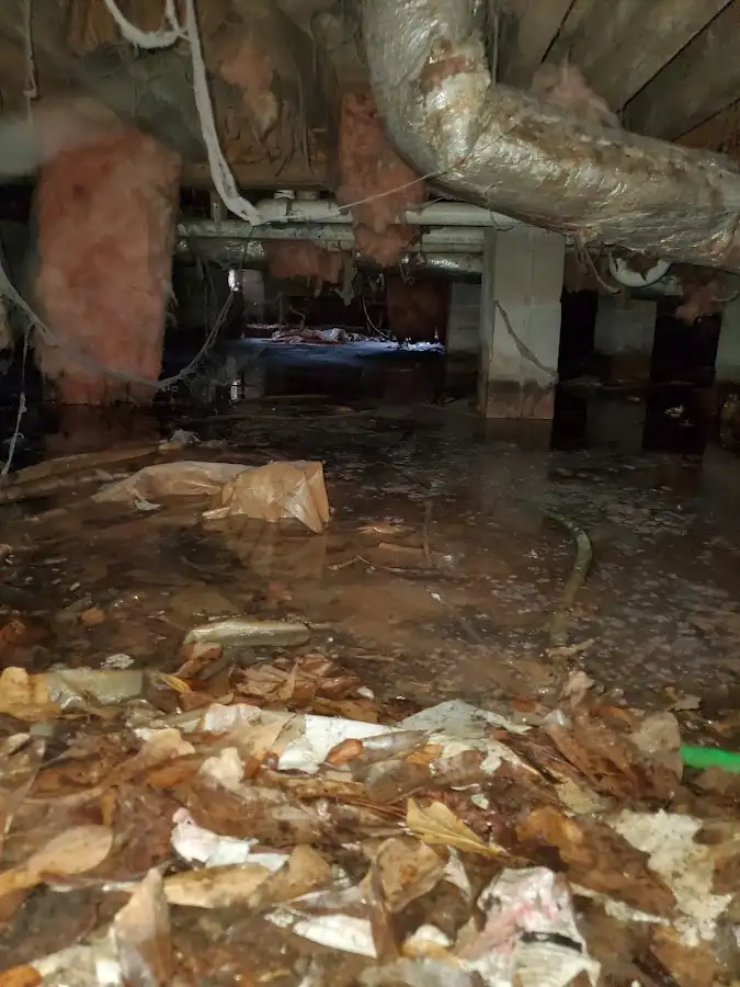 Crawl space flood assessment for Leak Detection & Repair in Glen Carbon