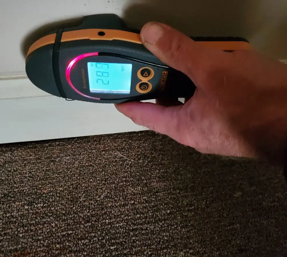 Moisture detection at baseboard during Sewage Cleanup & Sanitation in Glen Carbon